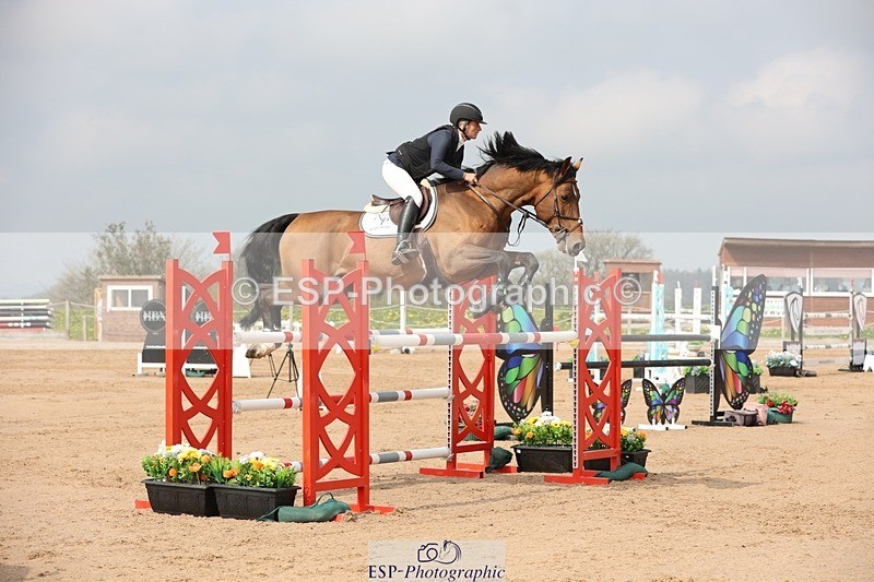 250424-104804-03233 - Cls 33 Young Horse 7yr old