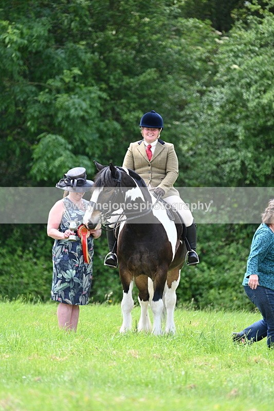 WJ7_2679 - Class 12A Coloured Class