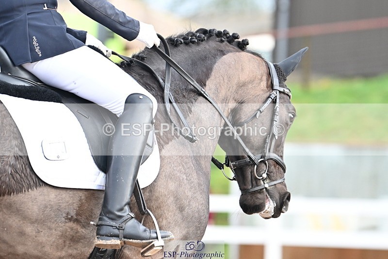 240218A-093528-04789 - 102-Caroline.Squire-Viva.Venezuela