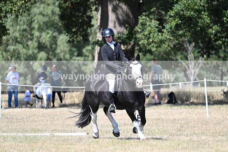 WJ7_0985 - Time 12:34 to 12:47