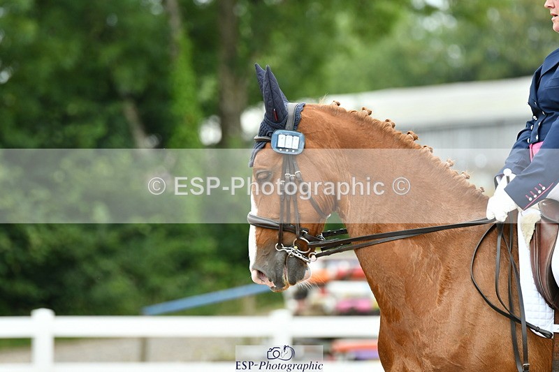 230701A-133837-06328 - Cls 12, 15 + 19 Music Medium, Adv Medium + Inter I