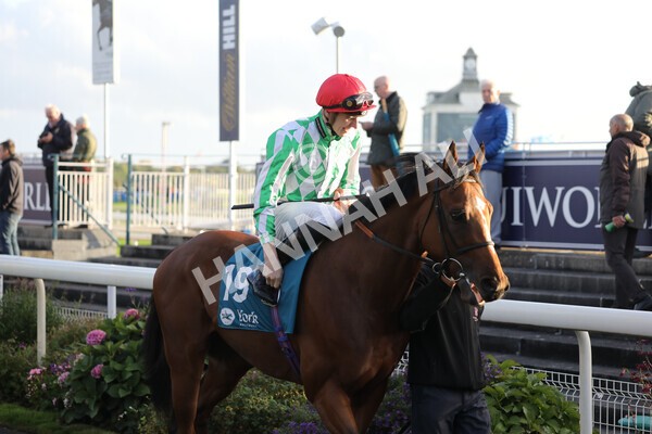 yr07102022r7-9 - Race 7 5.35pm IRE Incentive, It Pays To Buy Irish Stakes