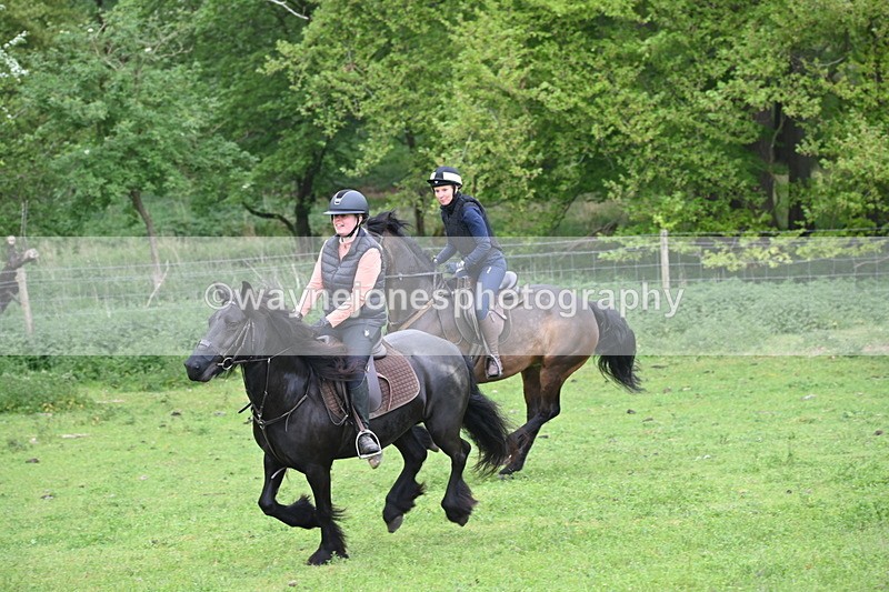 WJ6_2678 - A camera