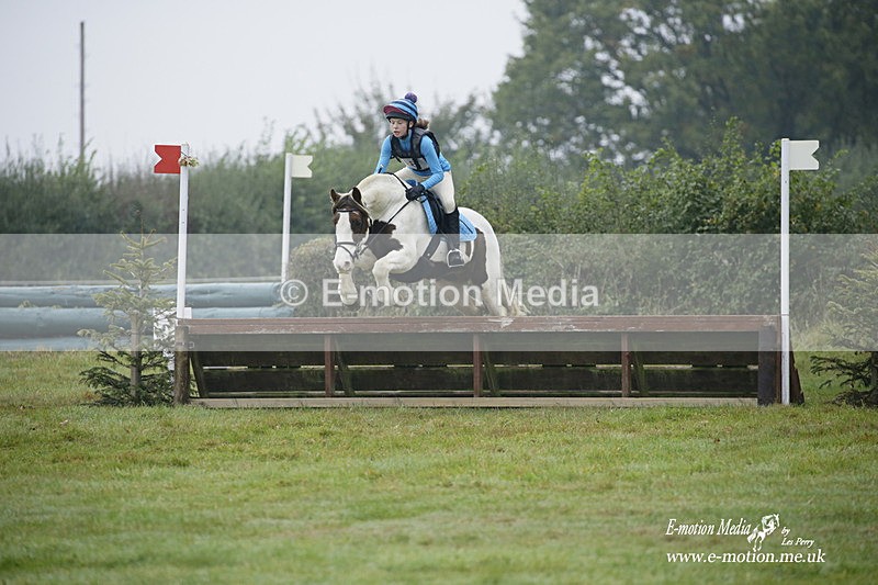WWHT 171021 0132 - Novice Restricted (0.80m)  17/10/21