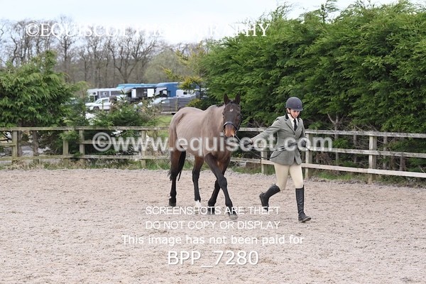 BPP_7280 - RING 1  (RIDDEN HORSES / IN HAND / VETERAN ETC)