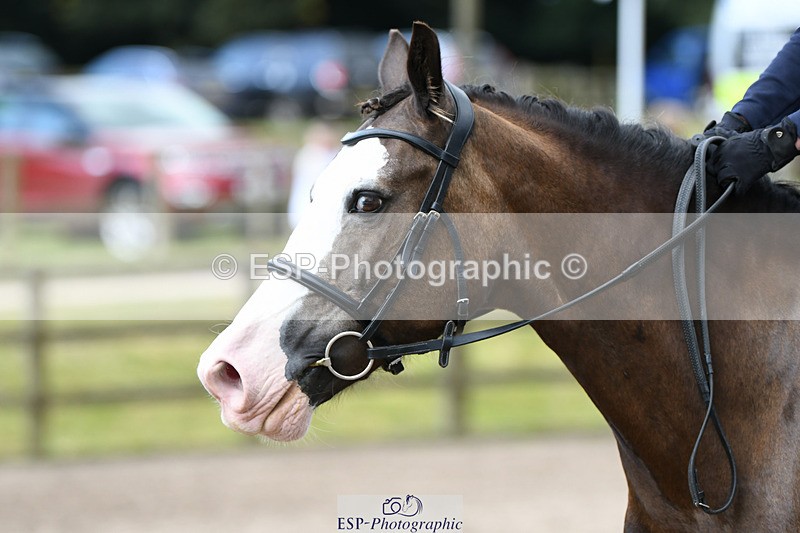 240825X-102130-30958 - 70cm SJ 9.15 to 10.21