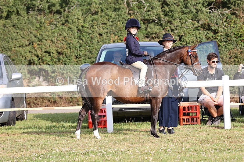 JPP_0316 - Class 14: Cornish Combination Leading Rein