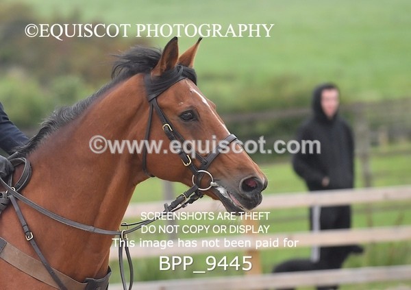 BPP_9445 - CLASS 7 80CM