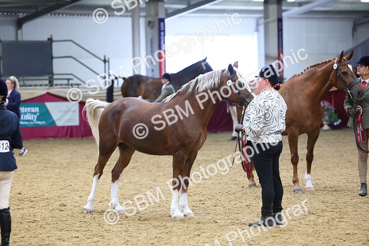 SBM_23000 - Class 903 - Supreme Final - IH Pre Vet