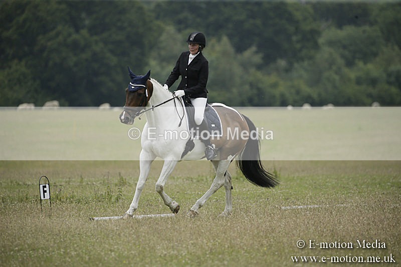 B230619-0650 - Bourne Valley Riding Club Summer Show 23/06/19