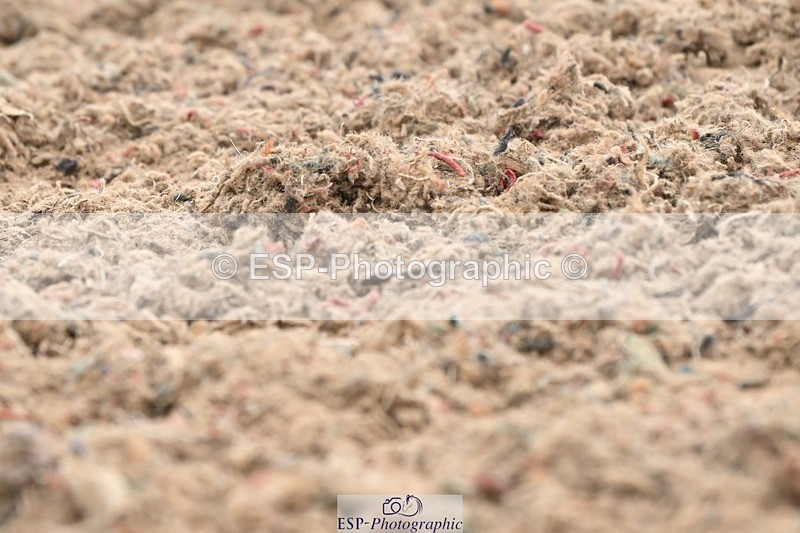 250705-101318-00901 - Intro3 Sections BDI3SEN, BDI3JNR 09.30 to 10.36