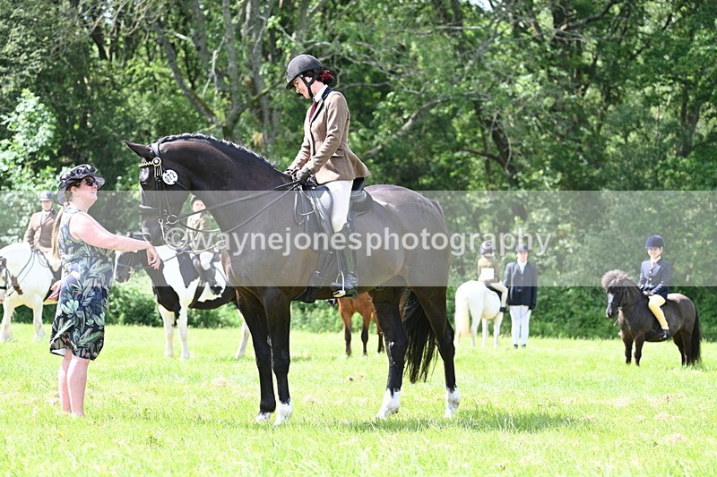WJ7_1466 - Class 11 Condition & Turnout