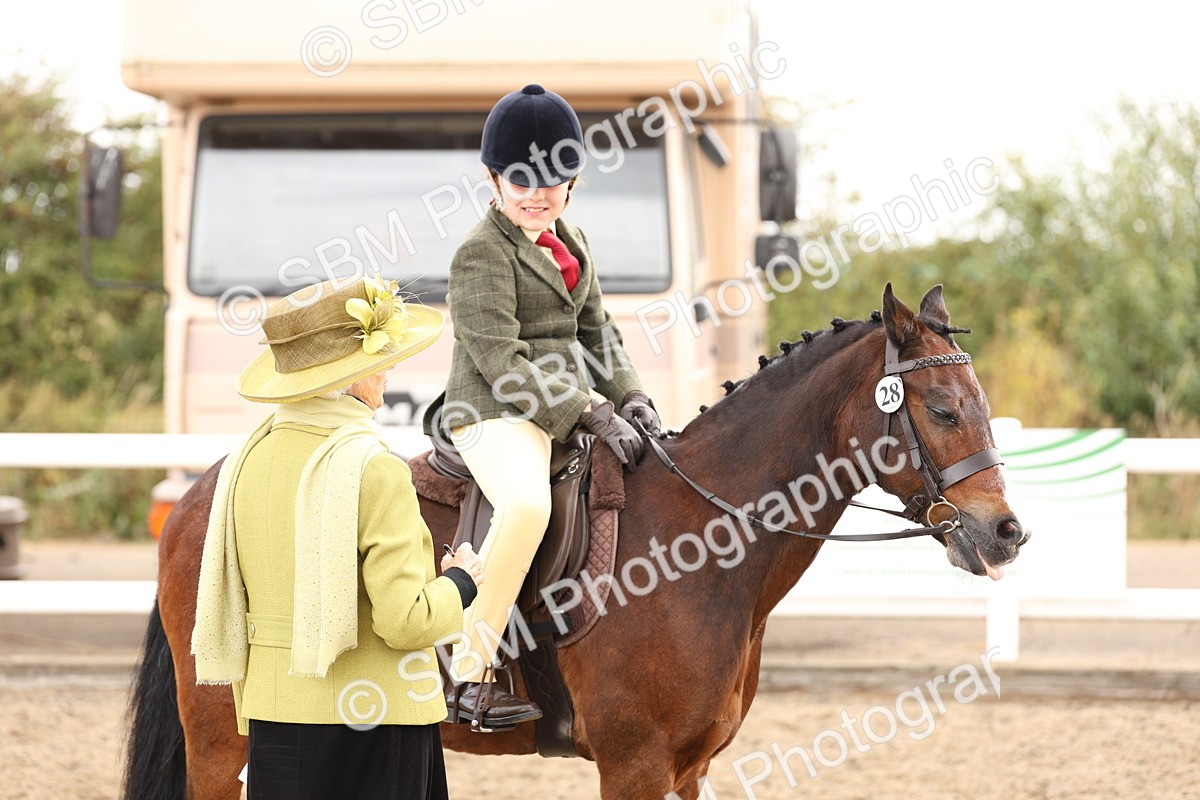 SBM_02890 - Class 53 - Ridden Competition Horse/Pony