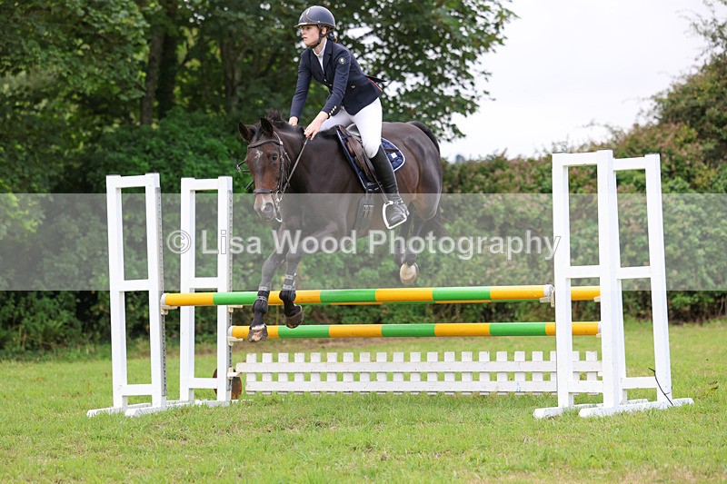 3E7A6988 - Class 5: Senior British Novice/90cm open