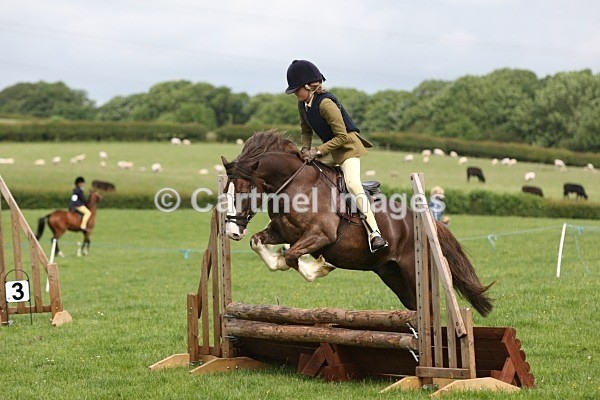 MBJ_1057 - MBRC- June 2012- Jumping/Working Hunter