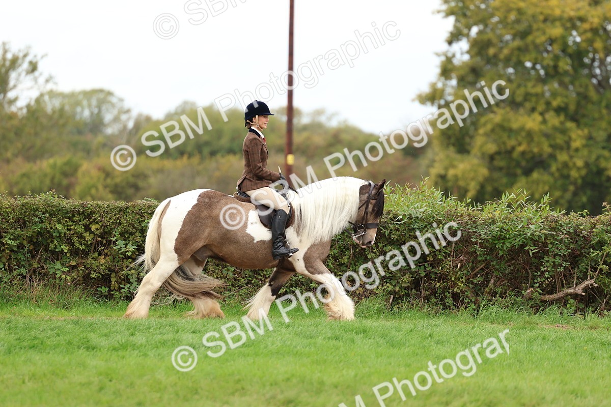 SBM_64681 - S58 - Coloured Pony Ridden