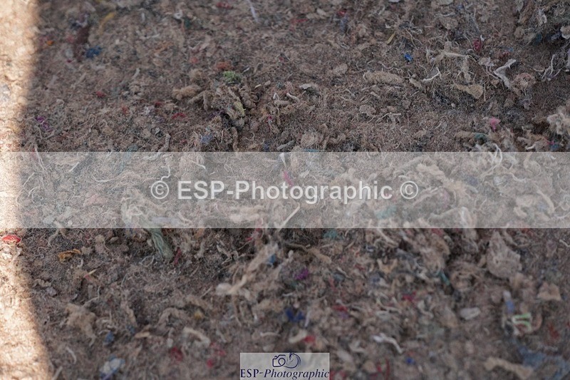 250510-095004-10143 - Cls 14 Snr 1.20m Open