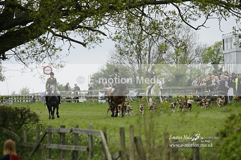 PtP 020522 246 - Mollington Races Point-to-Point 02/05/22
