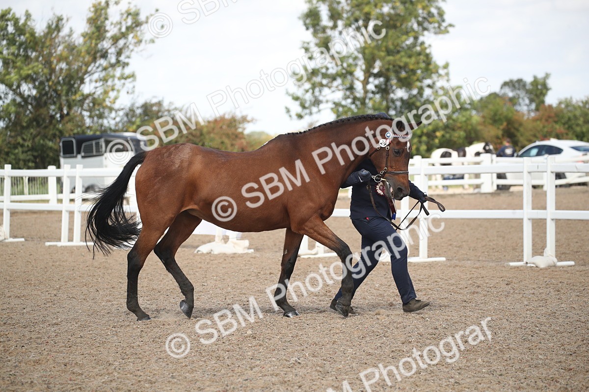 SBM_23501 - Class 604 - 2026 - Area IH Diamond