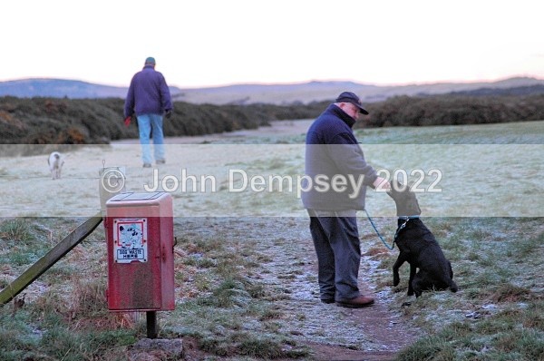 Ready To Go - Walking the Dog