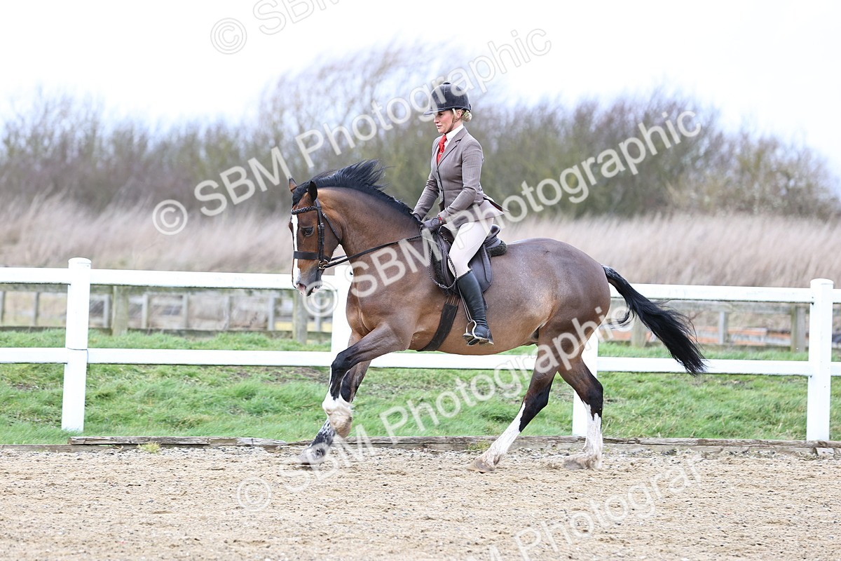 SBM_006950 - Class 29 - 30 - M&M Pure Novice Small-Large Breeds