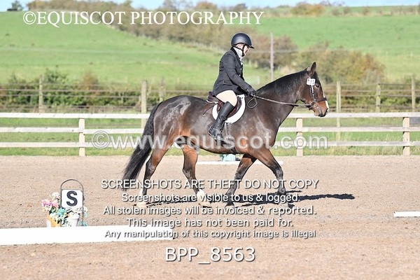 BPP_8563 - SHORT ARENA INTRO 3