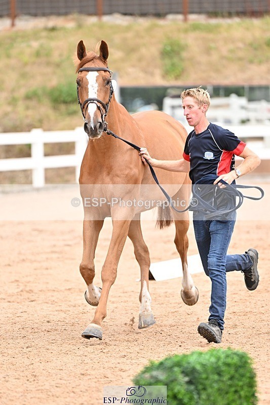 250716-144025-01289 - Trot Up 2.30 to 3.30