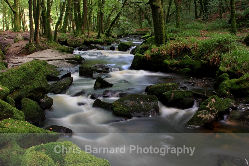  - Golitha Falls