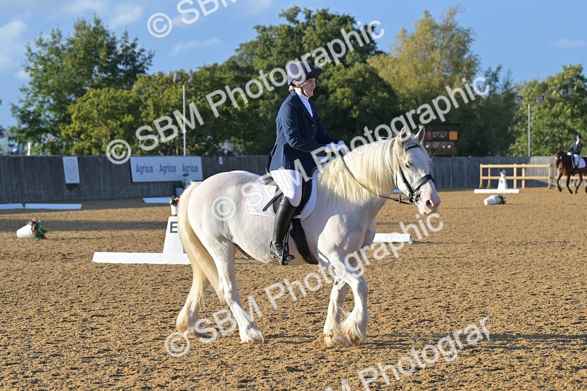 SBM_13203 - D3 - Small Tour Championship Intro 3