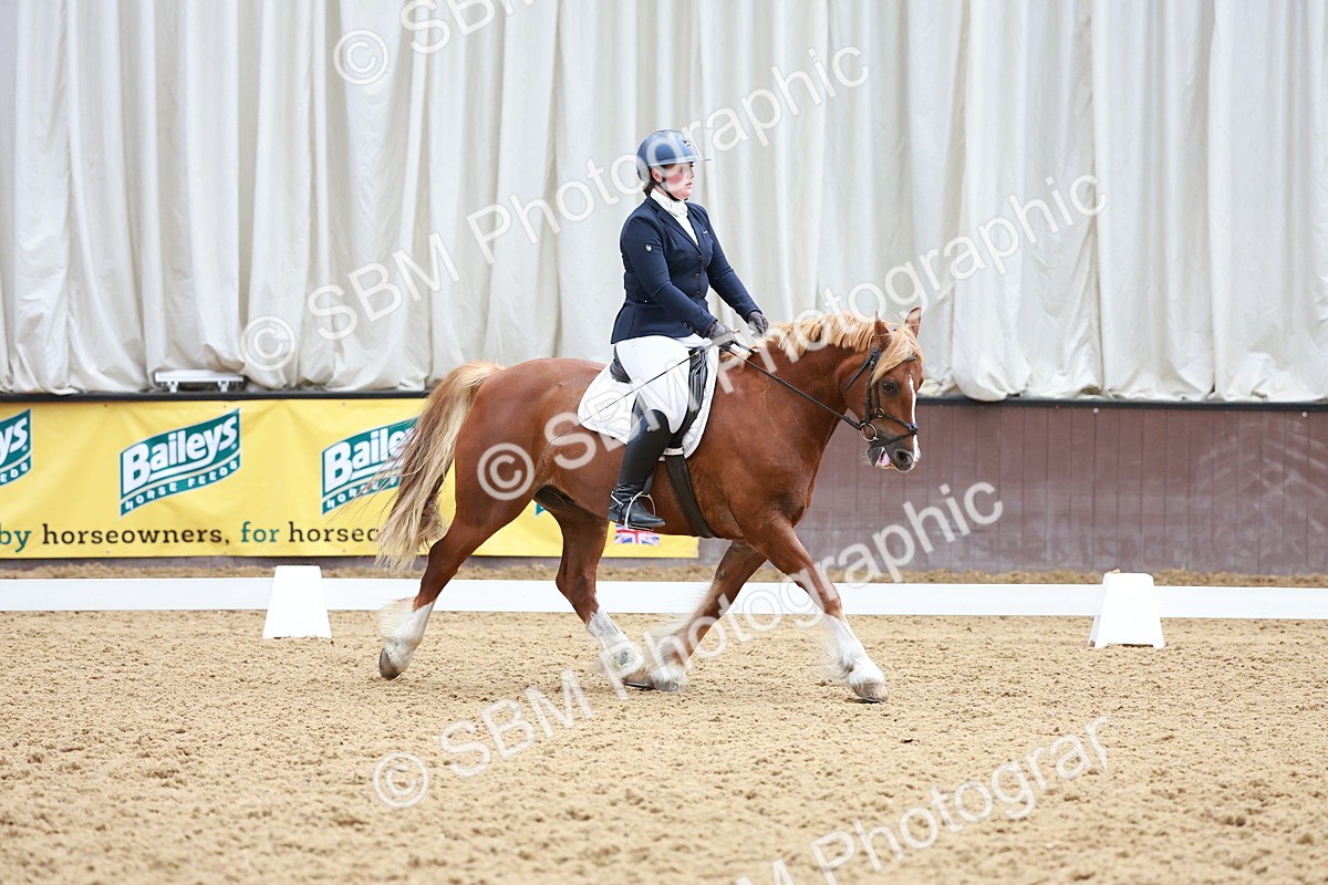 SBM_011539 - Prelim 5 - 13.05-14.01