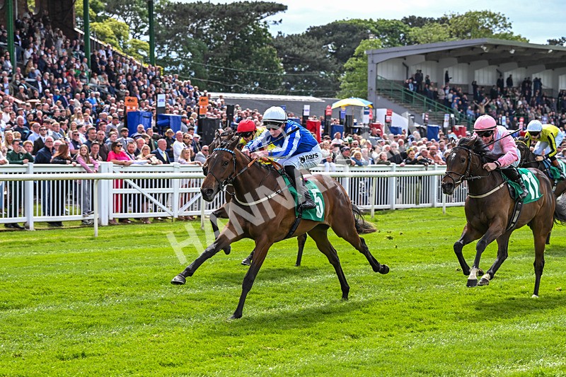 160526-Race 2-Kodi Bear Light-9315 - Race 2 2.23pm Marion Gibson Brown Memorial - Irish EBF Restricted Maiden Fillies' Stakes (Div II)