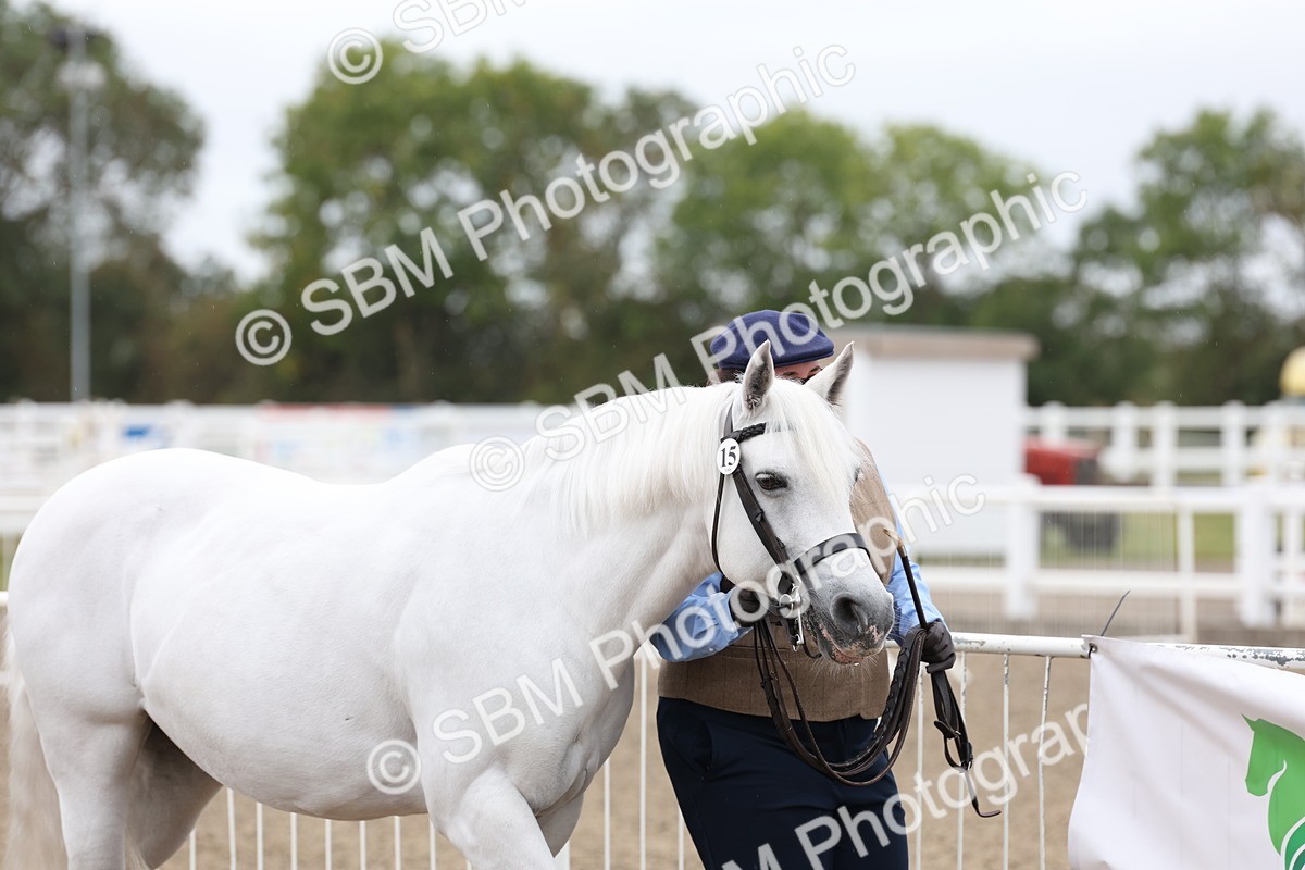 SBM_00017 - Class 50 - Best Turned Out IH