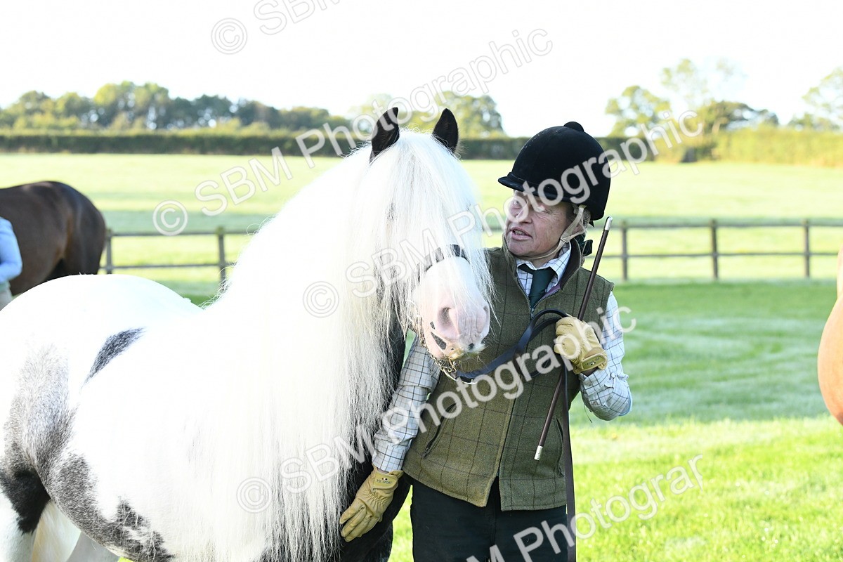 SBM_32667 - S15 - Condition & Turnout In Hand