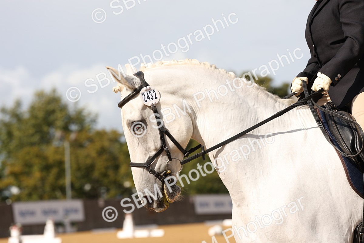 SBM_24523 - D17 - Grand Tour Championship Novice 3