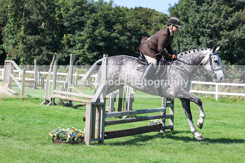 3E7A8289 - Class 4: Novice working Hunter