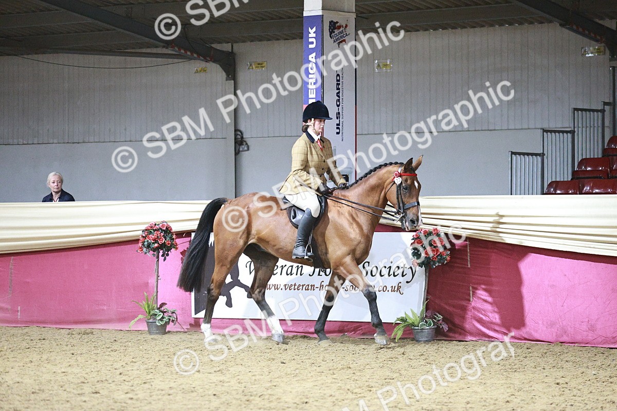 SBM_08038 - Class 11R - Regional Ridden Veteran