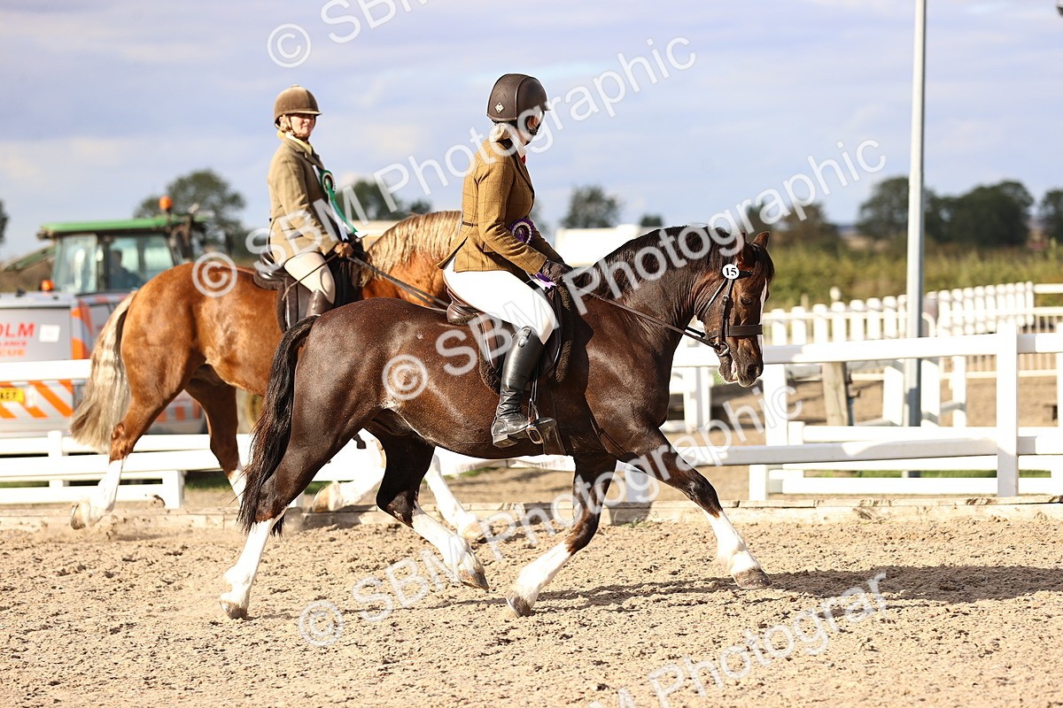 SBM_18307 - Class 423 - Equitation (best rider) Adult