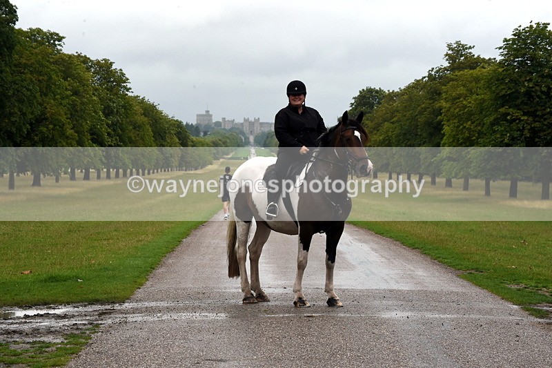 TT3_8195 - Time at Crossing 09:15 to 10:15