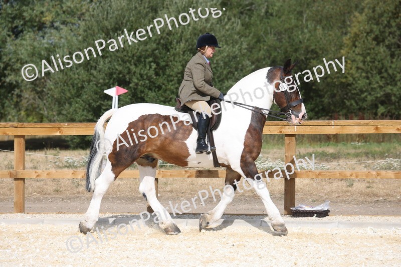 20260802-0419 - Class 6 - Veteran Ridden