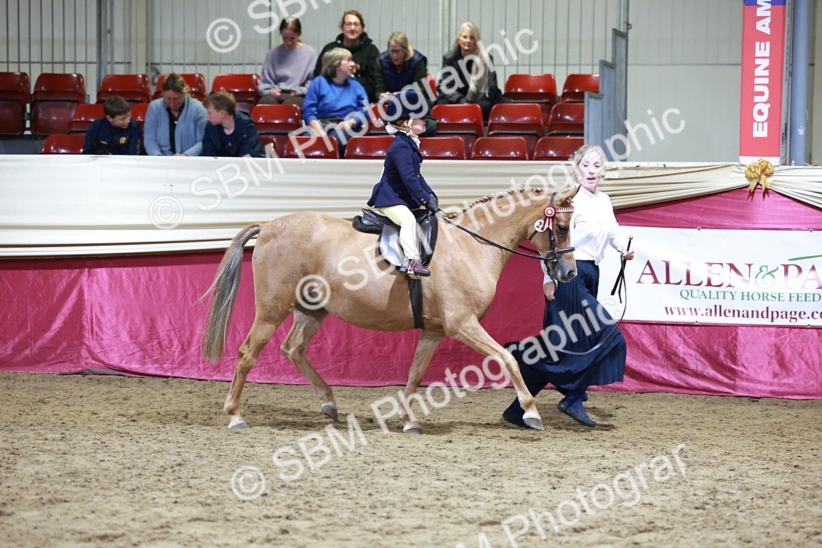 SBM_20547 - Class H - IH Competition - Riding Club champ