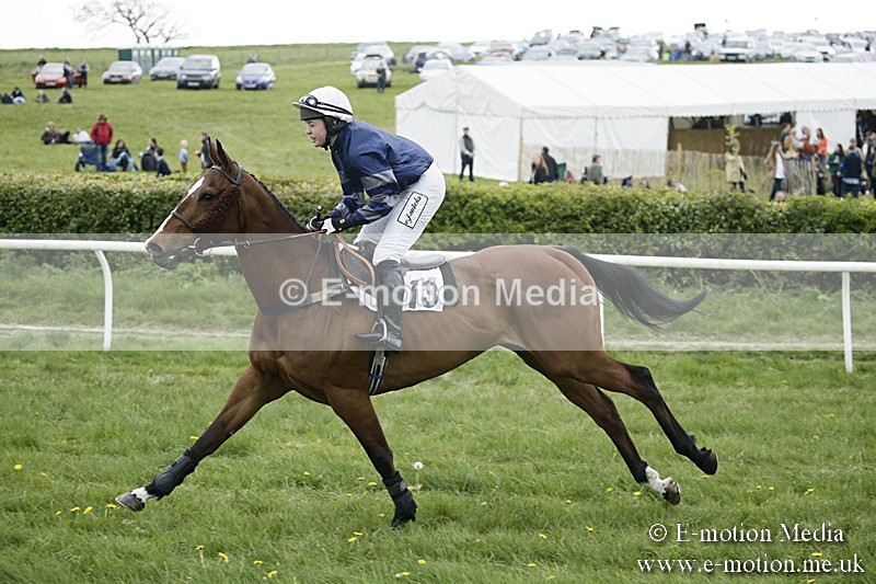 PtP 170417 504 - Old Berks Point-to-Point Lockinge 17/04/17