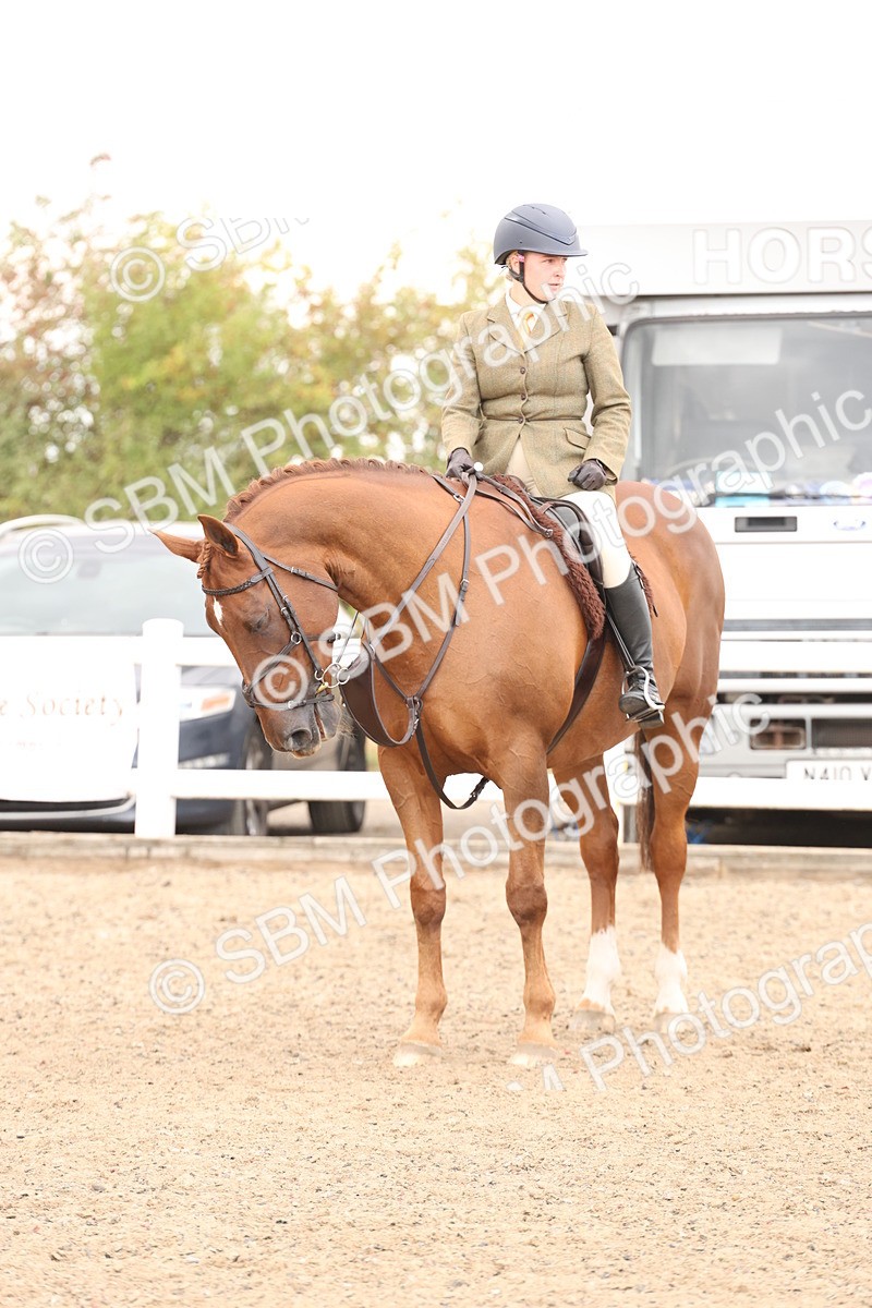 SBM_07506 - Class 59a -  Style & Performance - 80cm (15-19)