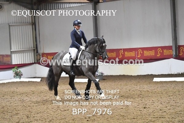 BPP_7976 - ELEM TEST 6