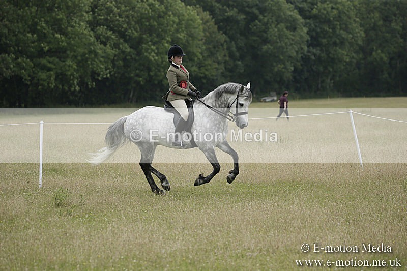 B230619-0932 - Bourne Valley Riding Club Summer Show 23/06/19