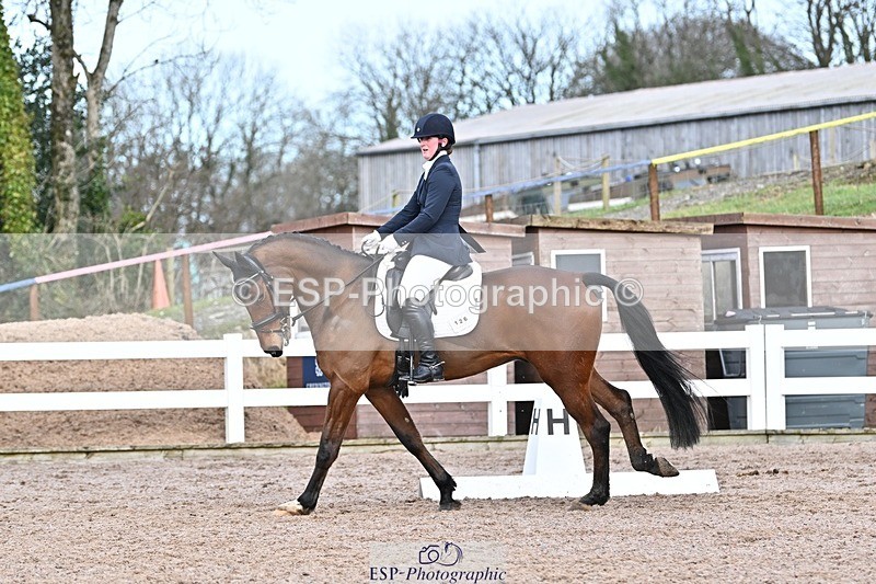 250125-130251-00533 - Dressage - CT Class 6 BE102