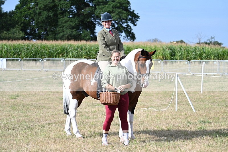 WJ7_2642 - Class 8 Ridden Tack & Turnout