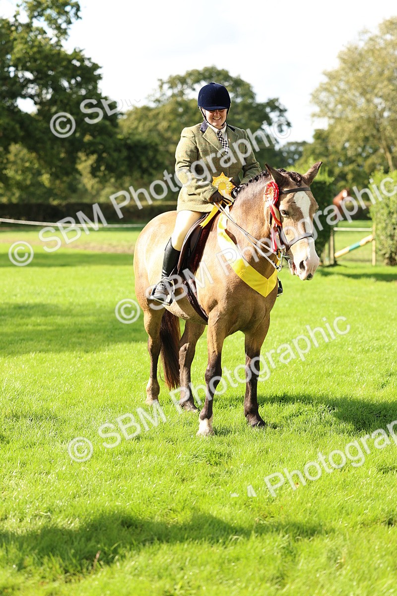 SBM_46422 - Working Hunter Pony Supreme Championship