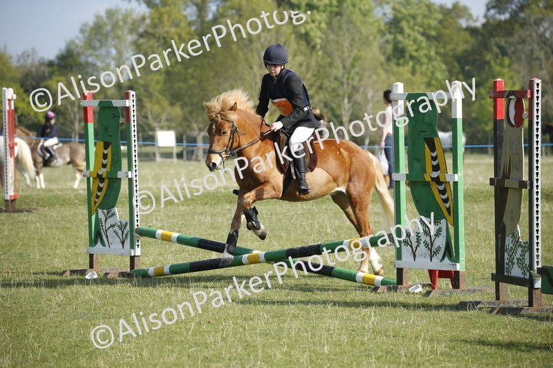 20250427-0246 - Class 12 - Rookie Jumping 40cm