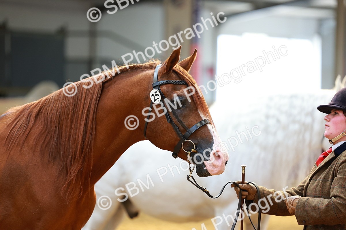 SBM_02326