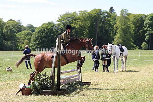 IMG_3621 - Working Hunter